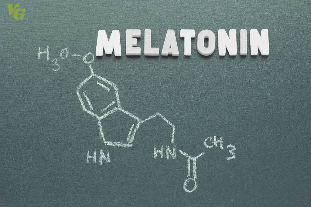 Your Body's Internal Clock: Understanding the Circadian Rhythm and Melatonin