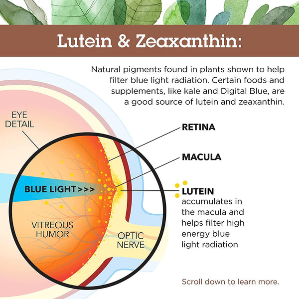 QUANTUM HEALTH - Digital Blue Eye Health - 60 Softgels